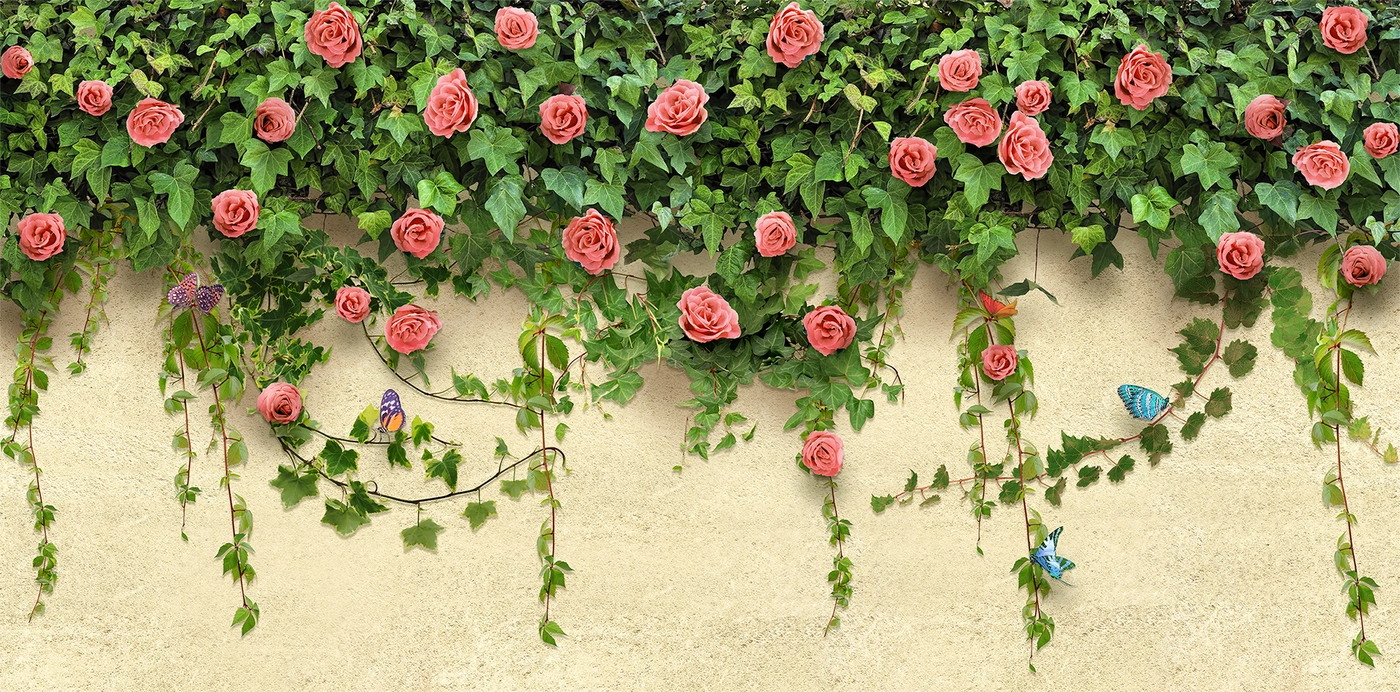цветы, розовые кусты, листья, стена, бабочки, бежевые, зелёные, розовые